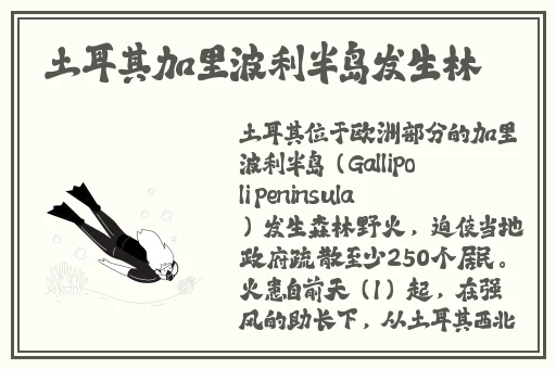 欧洲国产在线精品三区